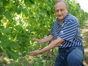Rukwied im Sommerinterview
