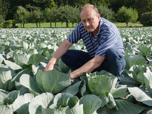 Rukwied im Sommerinterview