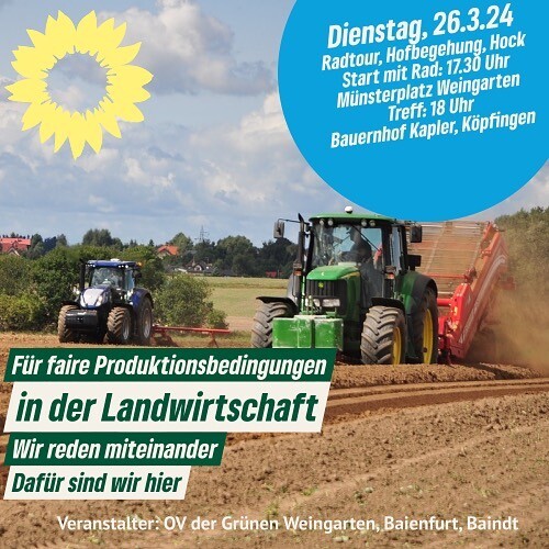Faire Produktionsbedingungen (Die Grnen)