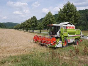Gerstenernte 003