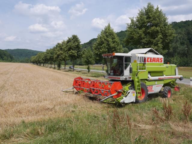 Gerstenernte 003